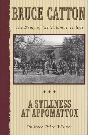 Cover of the book A Stillness at Appomattox by Lee Vance