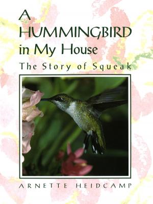 Cover of the book A Hummingbird in My House by Paolo Breber