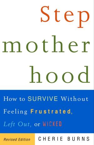 Cover of the book Stepmotherhood by Nabanita Banerjee