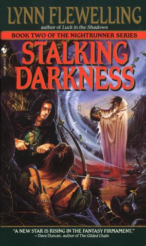 Cover of the book Stalking Darkness by Michael John Light