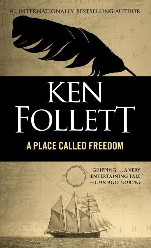 Cover of the book Place Called Freedom by Katie Roiphe