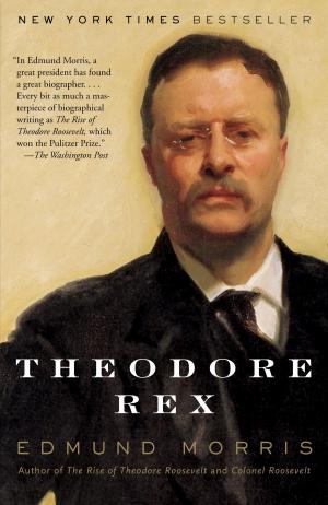 Cover of the book Theodore Rex by Mario Puzo