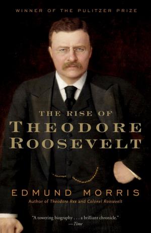 Book cover of The Rise of Theodore Roosevelt