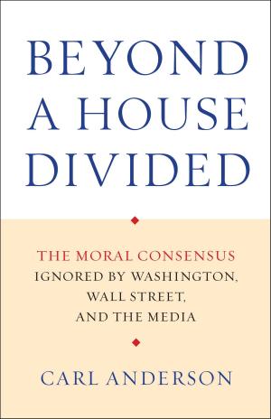 Cover of the book Beyond a House Divided by Jill Briscoe