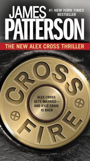 Cover of the book Cross Fire by Vanessa Kier