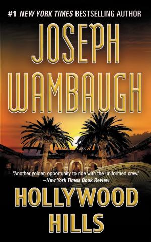 Cover of the book Hollywood Hills by Richard K. Bernstein