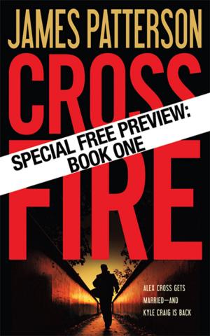 Cover of the book Cross Fire-Free Preview: The First 30 Chapters by Brad Stone