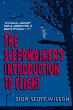 Cover of the book The Sleepwalker's Introduction to Flight by Mary Hocking