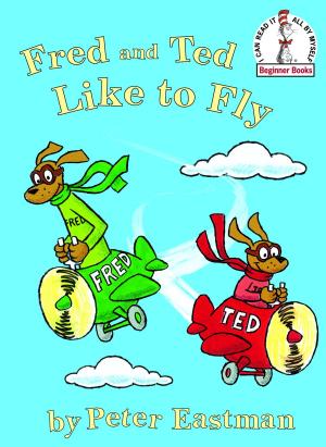 Cover of the book Fred and Ted Like to Fly by RH Disney