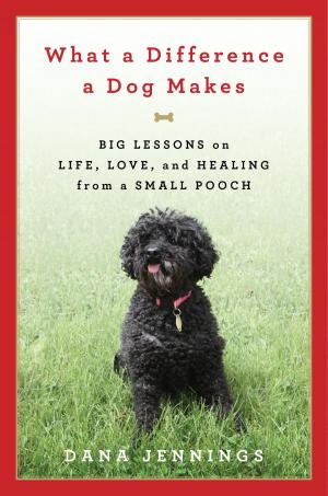 Cover of the book What a Difference a Dog Makes by William Boyd