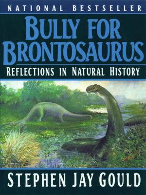 Cover of the book Bully for Brontosaurus: Reflections in Natural History by Stanley Plumly