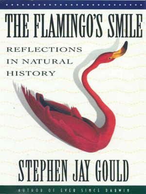 Cover of the book The Flamingo's Smile: Reflections in Natural History by Stephen V. Sobel