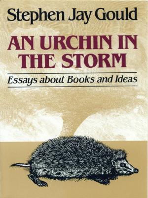 Book cover of An Urchin in the Storm: Essays about Books and Ideas