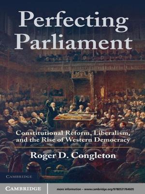 Cover of the book Perfecting Parliament by David P. Stone