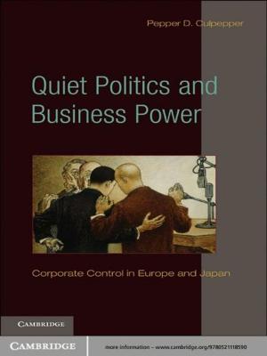 Cover of the book Quiet Politics and Business Power by Daniel J. Velleman