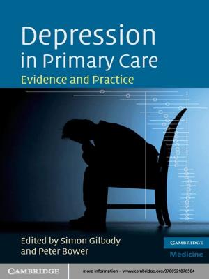 Cover of the book Depression in Primary Care by Ittai Weinryb