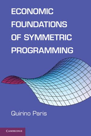 Cover of the book Economic Foundations of Symmetric Programming by James Lindesay