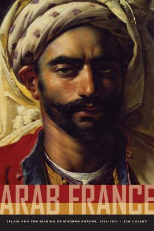 Cover of the book Arab France by SueEllen Campbell