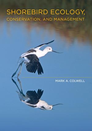 Cover of the book Shorebird Ecology, Conservation, and Management by Cemal Kafadar