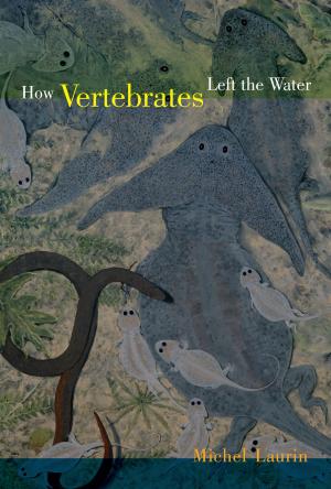 Cover of the book How Vertebrates Left the Water by Orrin H. Pilkey, William J. Neal, James Andrew Graham Cooper, Joseph T. Kelley