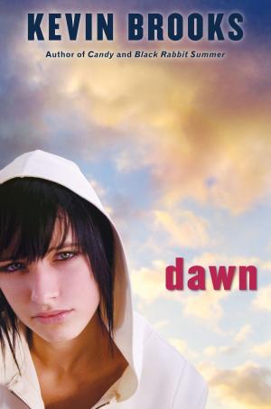 Cover of the book Dawn by Spencer Quinn