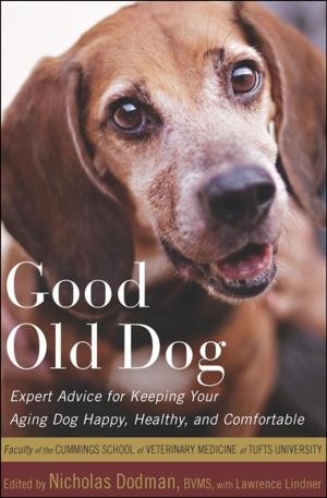 Cover of the book Good Old Dog by Richard Selzer