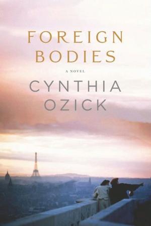 Cover of the book Foreign Bodies by Lauren Baratz-Logsted