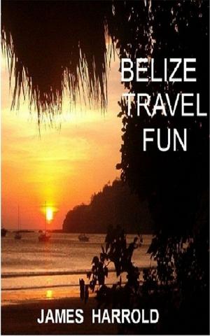 Cover of the book Belize Travel Fun by Patricia Killelea