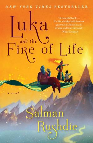 Cover of the book Luka and the Fire of Life by Anne LeClaire