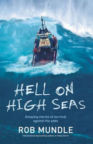 Cover of the book Hell on High Seas by R.L. Stine