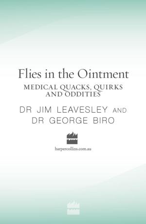 Cover of the book Flies in the Ointment by James Frey, Nils Johnson-Shelton