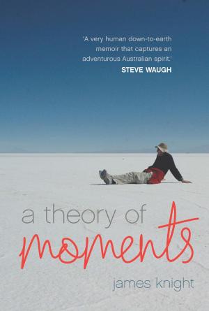 Cover of the book A Theory of Moments by Todd Alexander