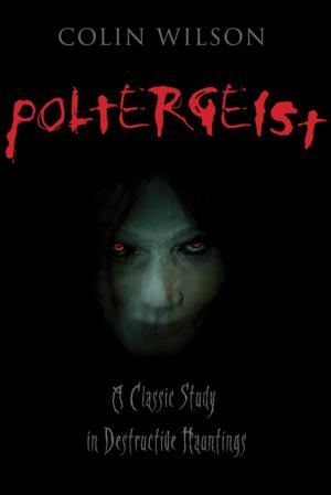 Cover of the book Poltergeist: A Classic Study in Destructive Hauntings by Rich Newman, Rich Newman