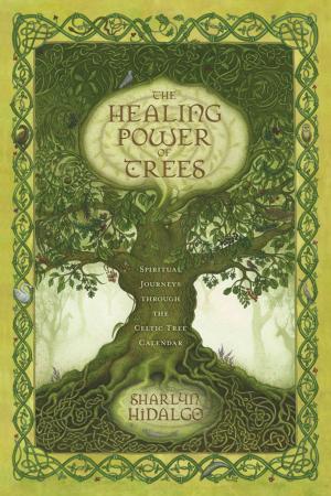 Cover of the book The Healing Power of Trees: Spiritual Journeys Through the Celtic Tree Calendar by Kristoffer Hughes