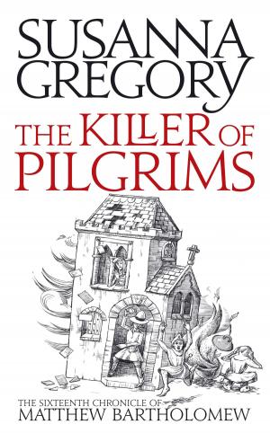 Book cover of The Killer Of Pilgrims