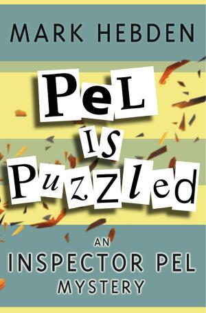 Cover of the book Pel Is Puzzled by Richard S. Levine