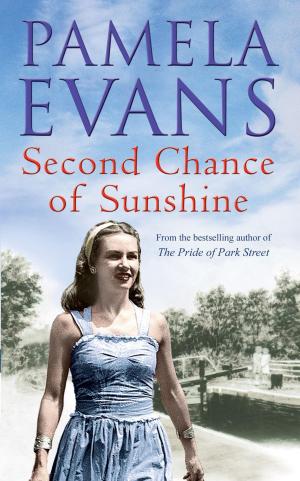 Cover of the book Second Chance of Sunshine by Pamela Evans