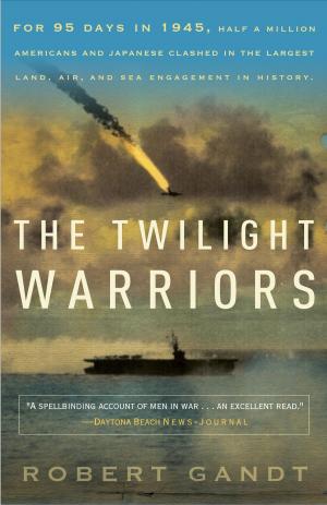 Book cover of The Twilight Warriors
