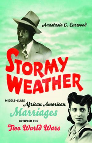 Cover of the book Stormy Weather by Nathaniel Cheairs Hughes
