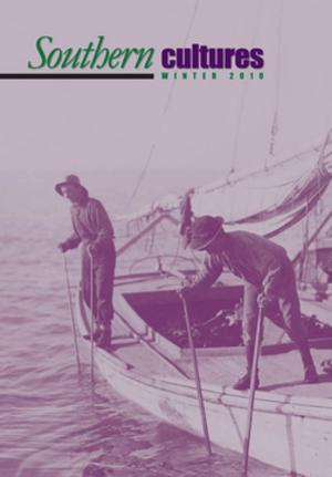 Cover of the book Southern Cultures by Michael Bowen