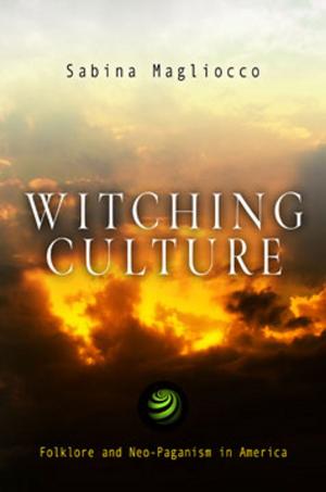 Book cover of Witching Culture