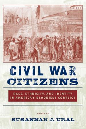 Cover of the book Civil War Citizens by Dolores Ines Casillas