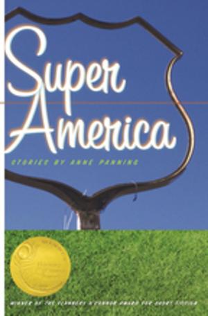 Cover of the book Super America by Rebecca Shriver Davis