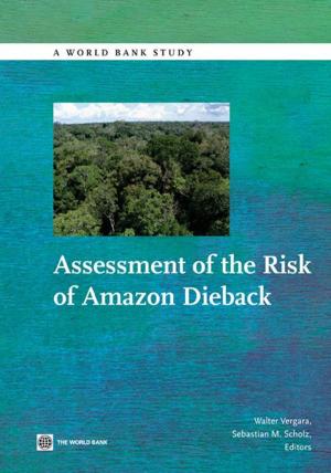 Cover of the book Assessment Of The Risk Of Amazon Dieback by World Bank