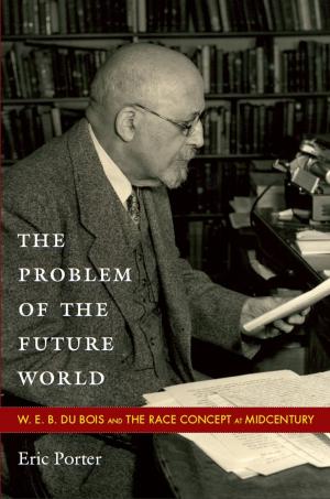 Cover of the book The Problem of the Future World by Michael Lucey, Michèle Aina Barale, Jonathan Goldberg, Michael Moon, Eve  Kosofsky Sedgwick