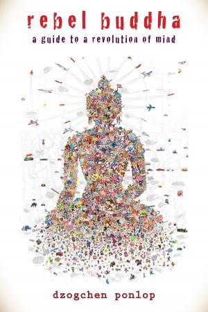 Cover of the book Rebel Buddha by Shaun McNiff