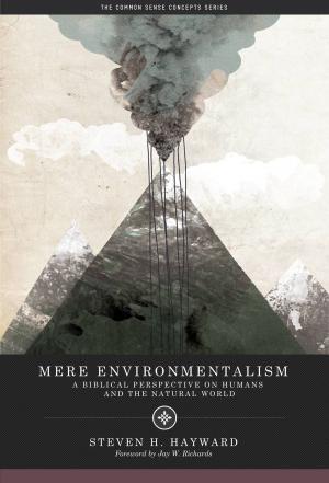 Cover of the book Mere Environmentalism by Richard V. Burkhauser, Mary Daly