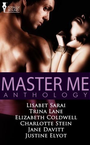Book cover of Master Me