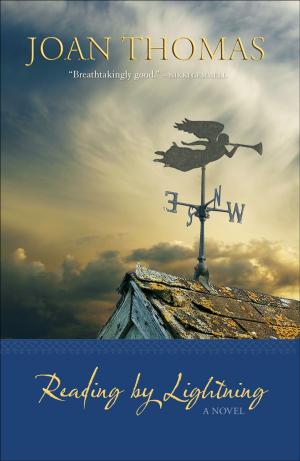 Cover of the book Reading by Lightning by Shauna Singh Baldwin