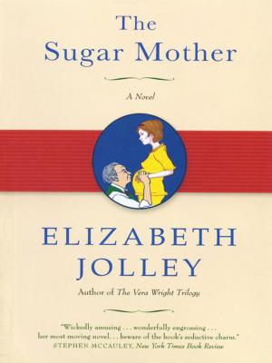 Cover of the book The Sugar Mother by Matthew Vollmer